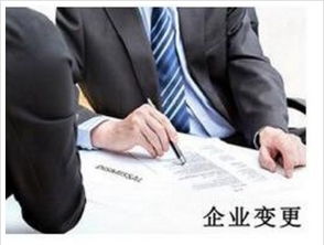 商务服务与商务代理代办 专业支持驱动企业高效运营