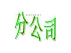 道窖镇专业代办服务 一站式解决企业注册与财税管理